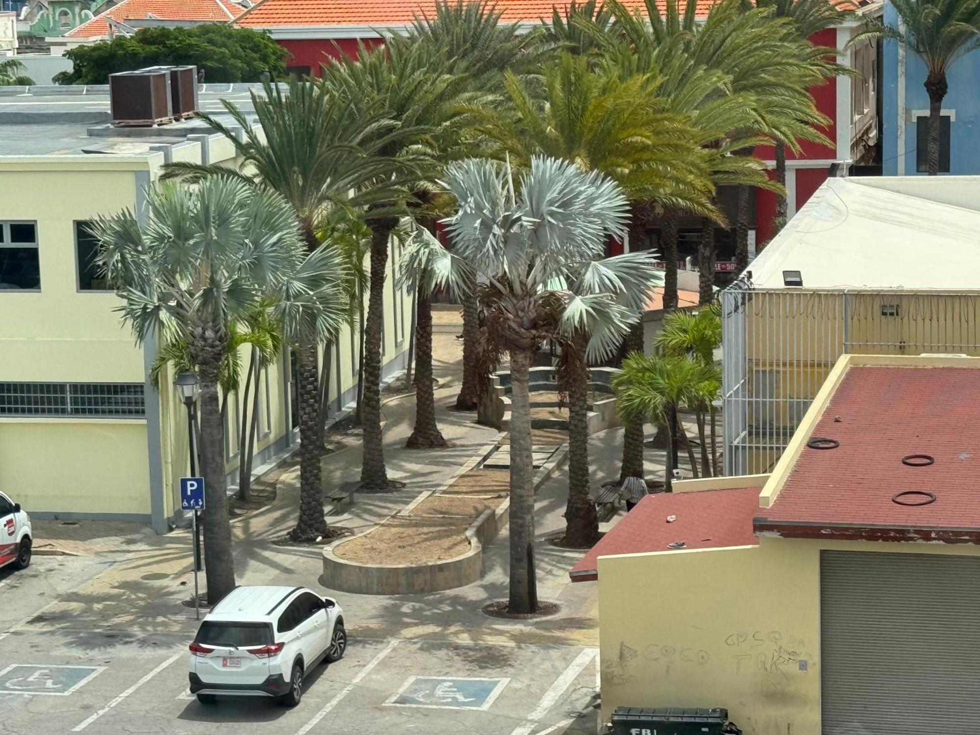 Central Boutique Hotel Oranjestad Zewnętrze zdjęcie